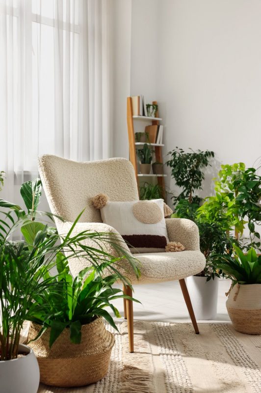 Cream boucle armchair beside houseplants in a sunlit room